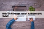 微信广东潮汕麻将群（微信广东潮汕麻将群是真的吗）